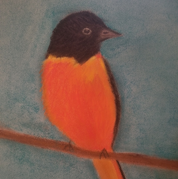 Baltimore Oriole original artwork painting - Picture 3 of 3